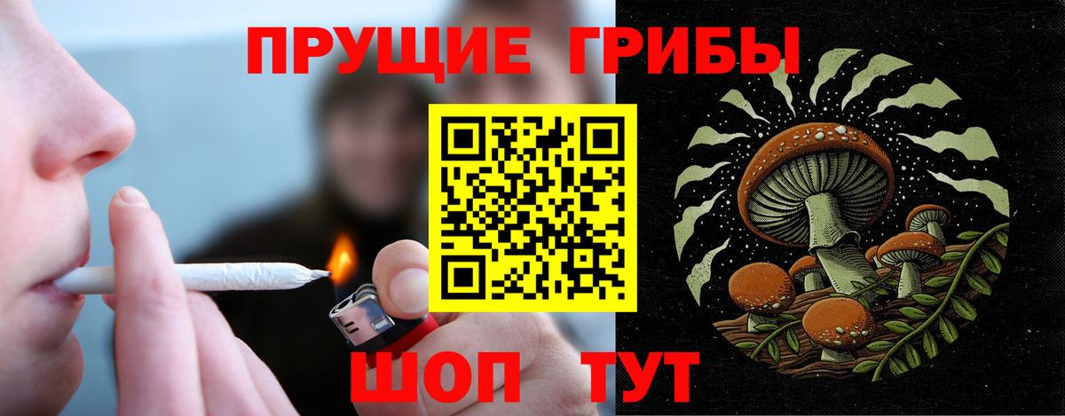 Псилоцибиновые грибы GOLDEN TEACHER Сафоново